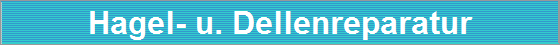 Hagel- u. Dellenreparatur